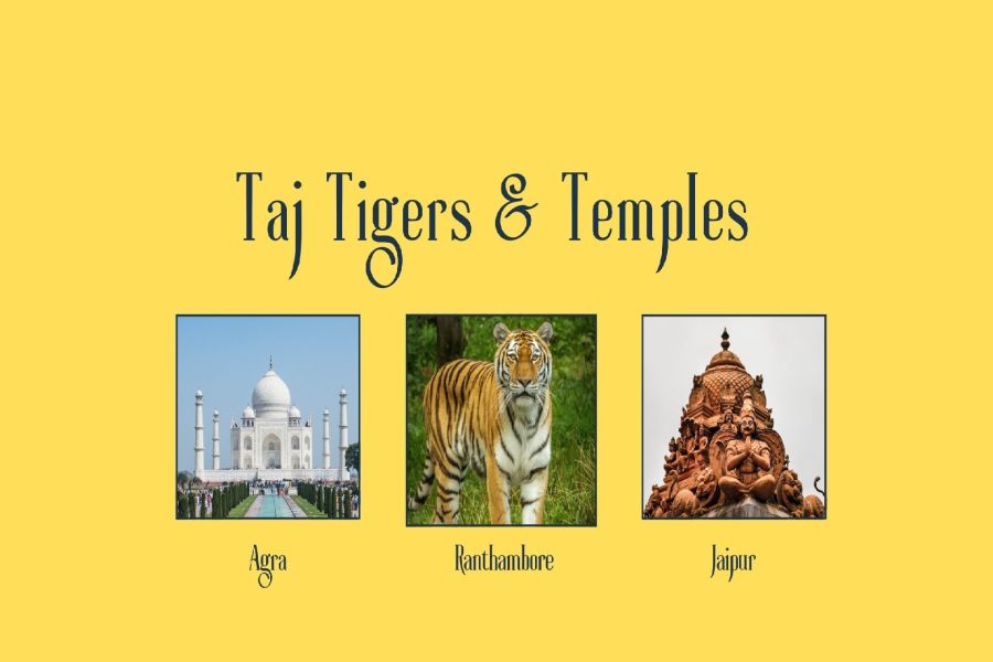 “Taj, Tigers & Temples”