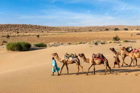 Best Reasons to Visit Rajasthan, India